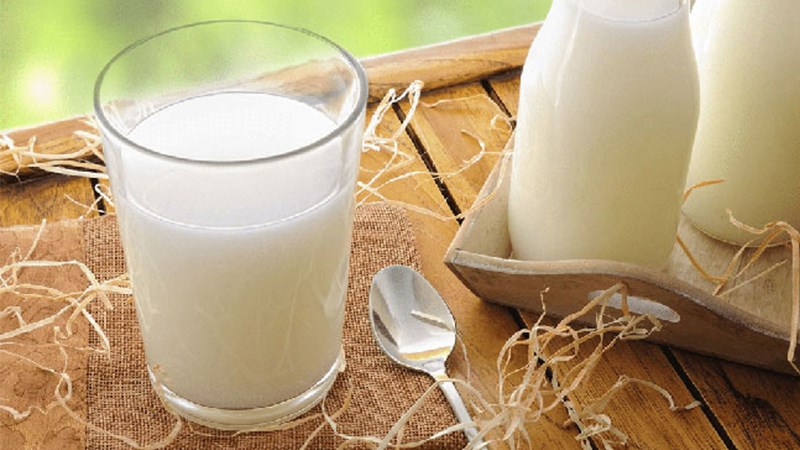 Sữa và các sản phẩm từ sữa là nguồn dinh dưỡng quan trọng