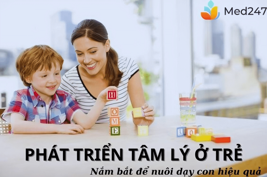 Tổng Quan Về Sự Phát Triển Tâm Lý